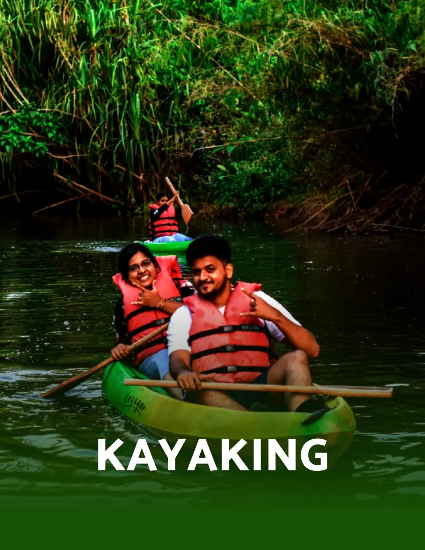 /images/kayaking_highlight_v1.webp