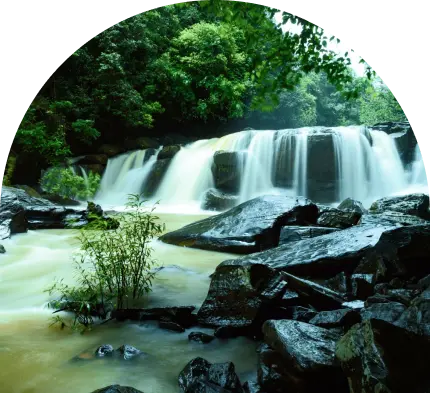 MOOKANA MANE ABBI  WATERFALL - 5 KMS