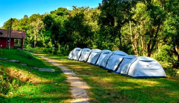 /images/riverside_camping_tents.webp