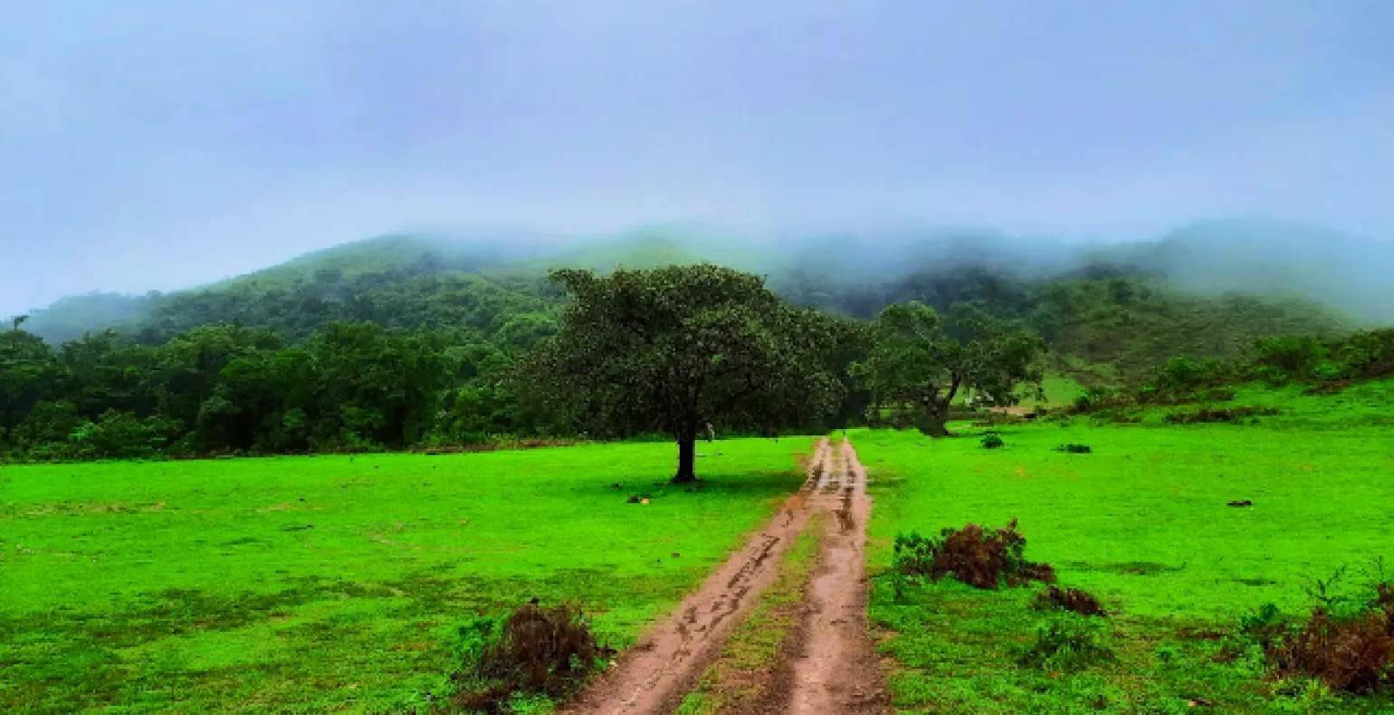 Nature's Bounty and Exploration