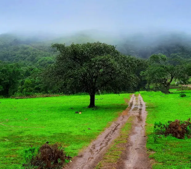 Trekking to Hosahalli Betta